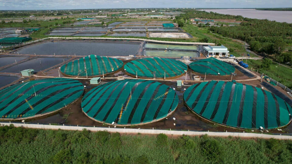 Nuôi Tôm Công Nghệ Cao Tiền Giang