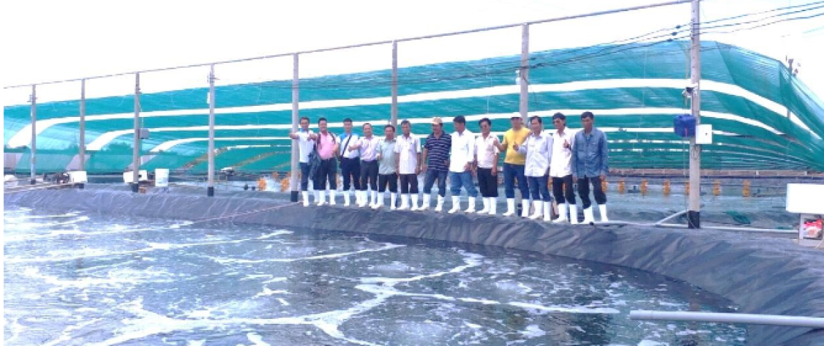 Đại lý thức ăn tôm - thuốc thủy sản Tuấn Hiền