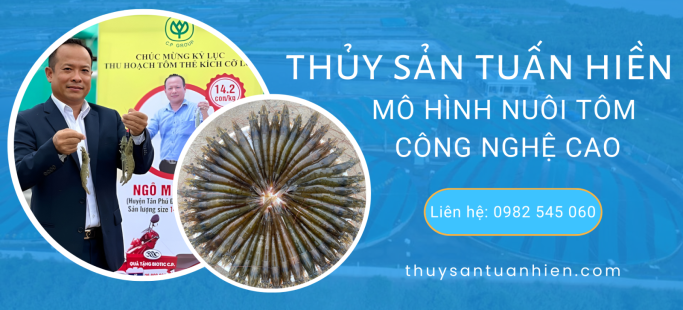 Thủy sản Tuấn Hiền