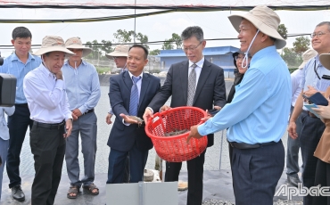Vận hành Hệ thống nuôi tôm công nghệ cao tiết kiệm năng lượng