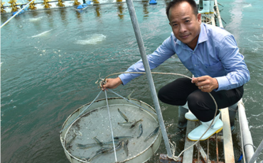 Hướng Đến Vùng Nuôi Trồng Thuỷ Sản Công Nghệ Cao