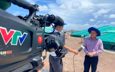 Phóng sự VTV