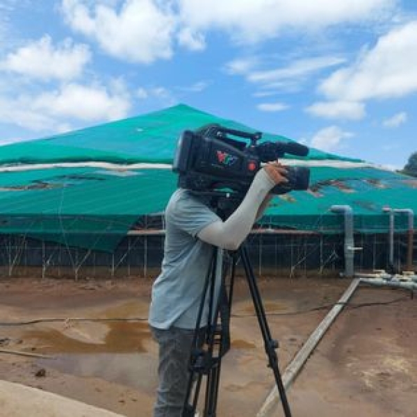 Phóng sự VTV