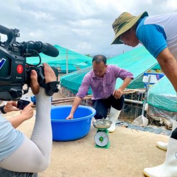 Phóng sự VTV