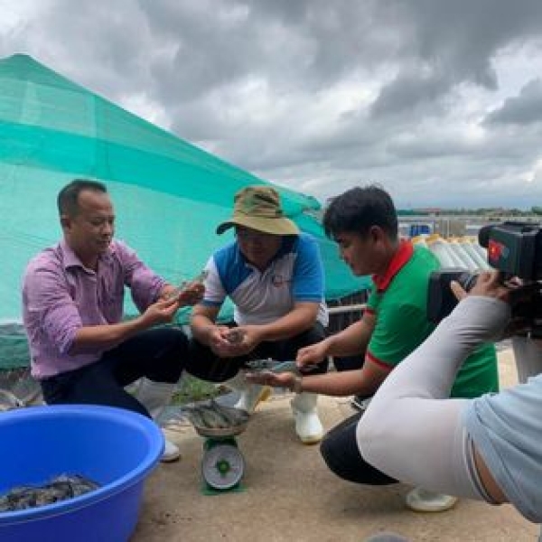 Phóng sự VTV