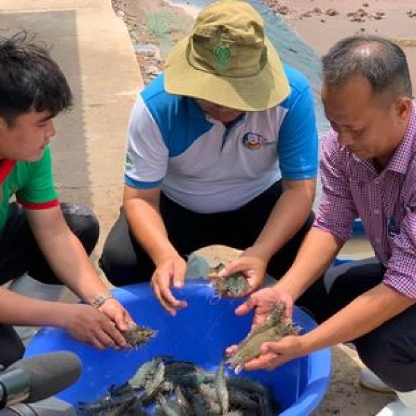 Phóng sự VTV