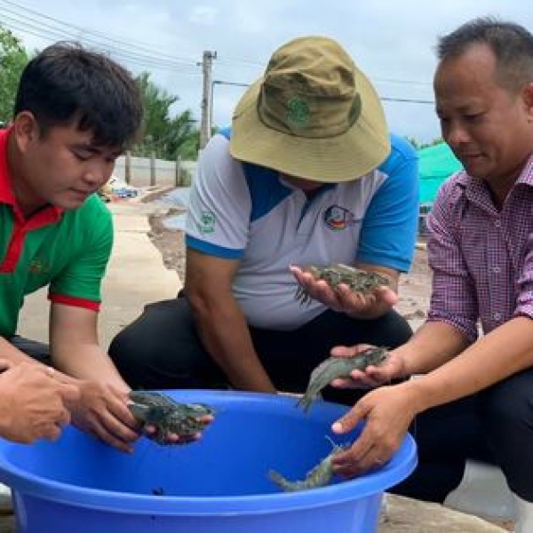 Phóng sự VTV