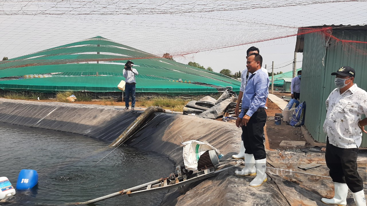 Anh Tuấn bên ao xử lý nước nuôi tôm công nghiệp
