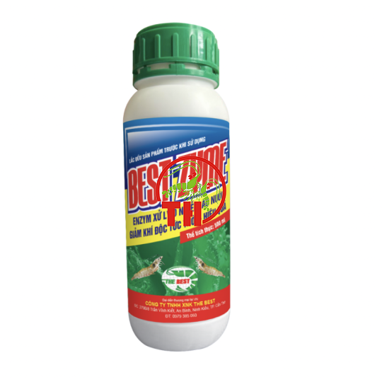 BEST ZYME Enzym 